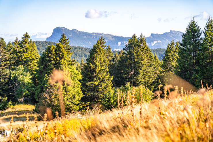 OTI_PIERRE-LONCHAMPT_PL250905-0138