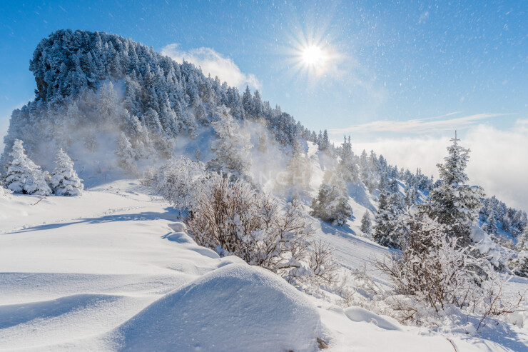OTI_PIERRE-LONCHAMPT_PL171203-006