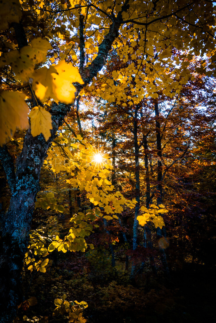 OTI_PIERRE-LONCHAMPT_PL211023-008