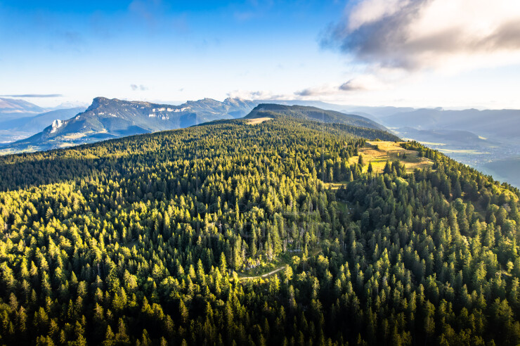 OTI_PIERRE-LONCHAMPT_PL250905-0280