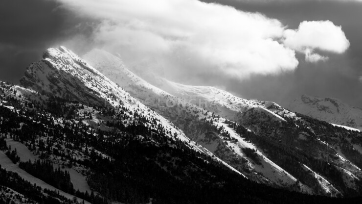 OTI_PIERRE-LONCHAMPT_PL181030-003