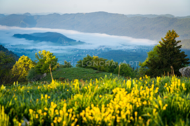 OTI_PIERRE-LONCHAMPT_PL230527-00121