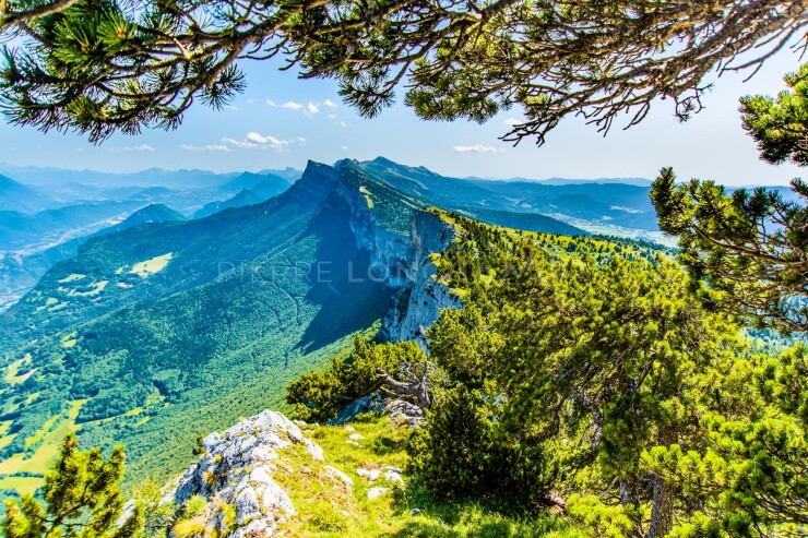 OTI_PIERRE-LONCHAMPT_PL170707-002