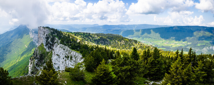 OTI_PIERRE-LONCHAMPT_PL230528-0596-PAN-D