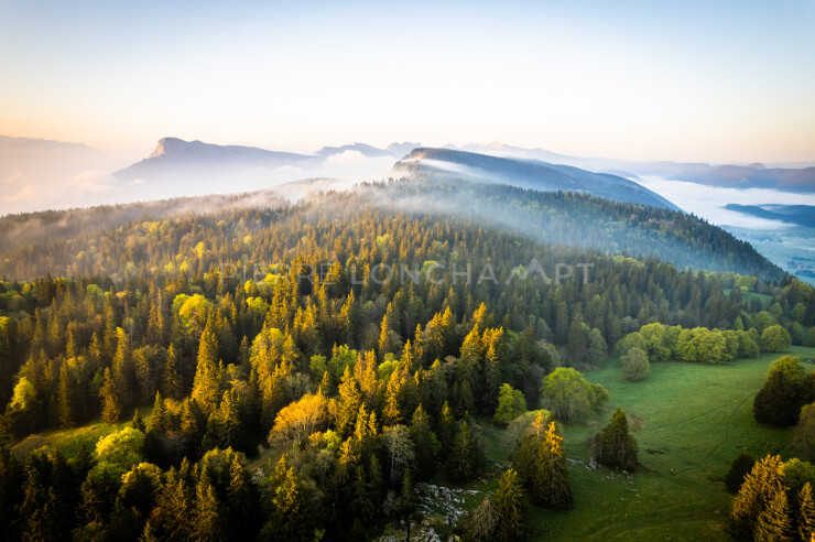 OTI_PIERRE-LONCHAMPT_PL230527-0547-D