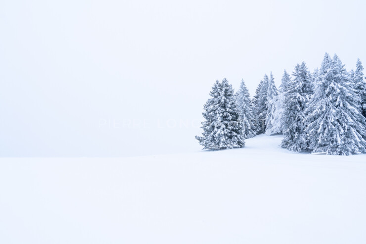 OTI_PIERRE-LONCHAMPT_PL221203-00101