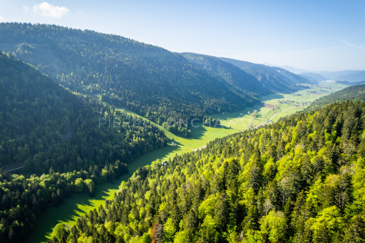 OTI_PIERRE-LONCHAMPT_PL230527-0559-D