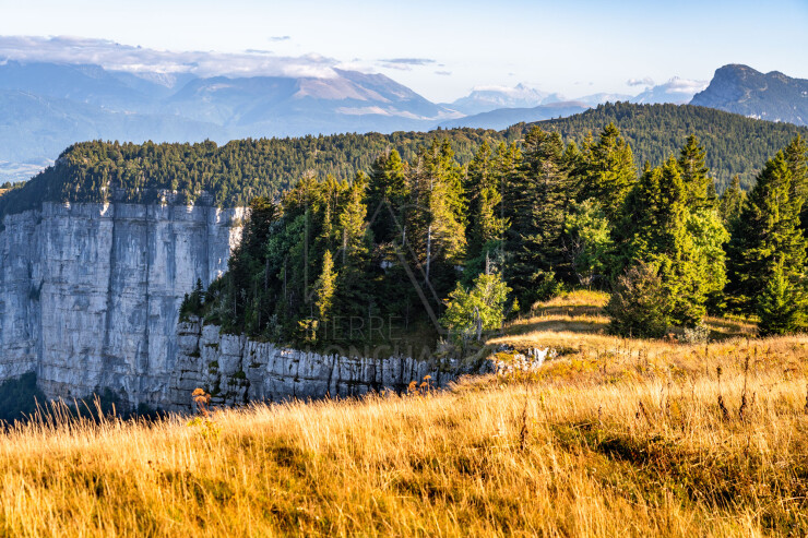 OTI_PIERRE-LONCHAMPT_PL250905-0133