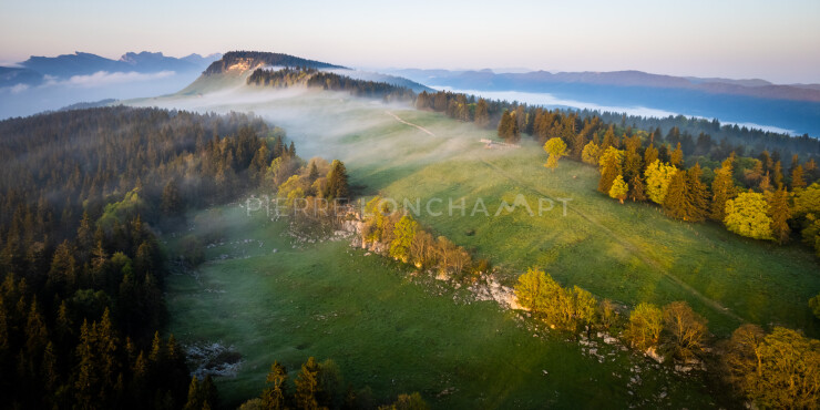 OTI_PIERRE-LONCHAMPT_PL230527-0526-D