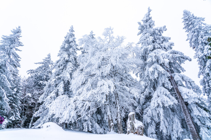 OTI_PIERRE-LONCHAMPT_PL221203-00107