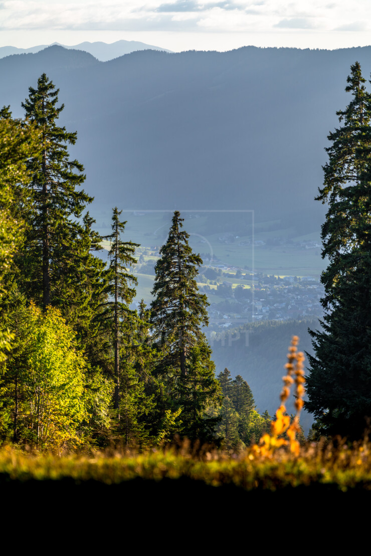 OTI_PIERRE-LONCHAMPT_PL250905-0153
