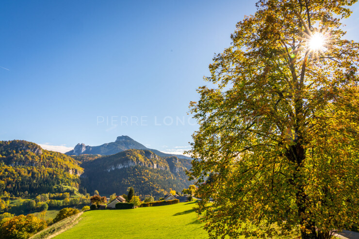 OTI_PIERRE-LONCHAMPT_PL221022-01113
