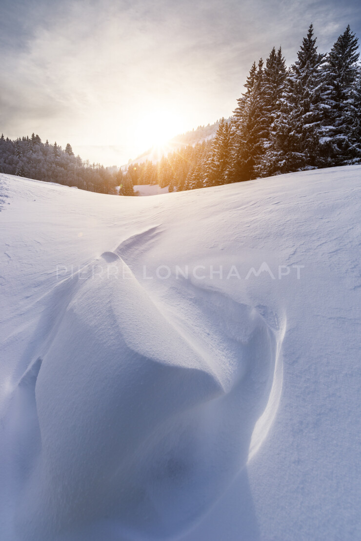 OTI_PIERRE-LONCHAMPT_PL171202-002