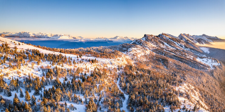 OTI_PIERRE-LONCHAMPT_PL231216-0800-PAN-D