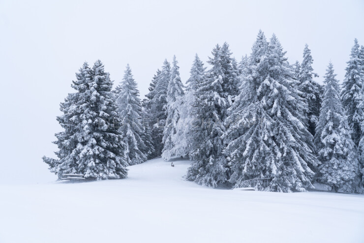 OTI_PIERRE-LONCHAMPT_PL221203-00096