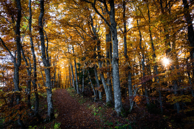 OTI_PIERRE-LONCHAMPT_PL211023-005