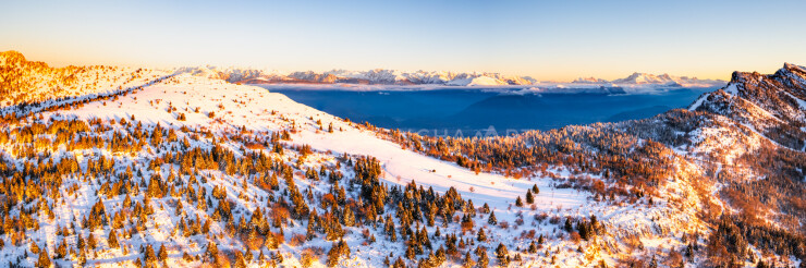 OTI_PIERRE-LONCHAMPT_PL231216-0816-PAN-D