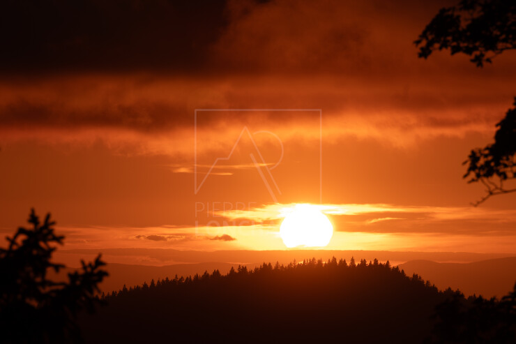 OTI_PIERRE-LONCHAMPT_PL250905-0178