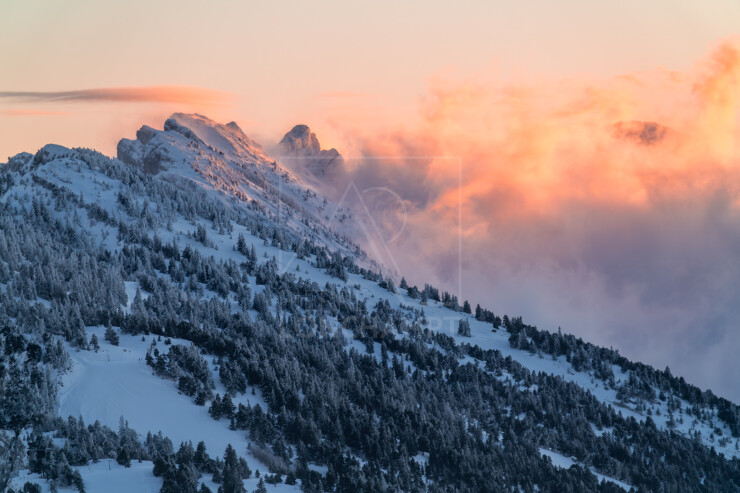 OTI_PIERRE-LONCHAMPT_PL241224-1572
