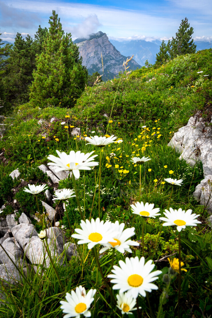 OTI_PIERRE-LONCHAMPT_PL240713-0437
