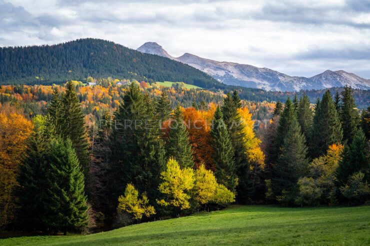 OTI_PIERRE-LONCHAMPT_PL221022-01120