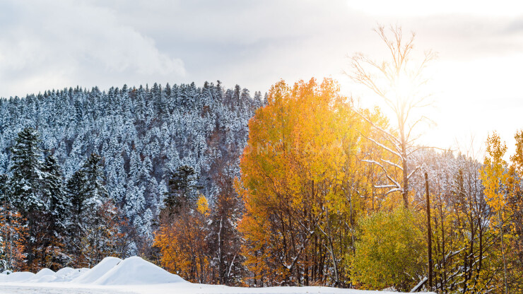 OTI_PIERRE-LONCHAMPT_PL181030-007