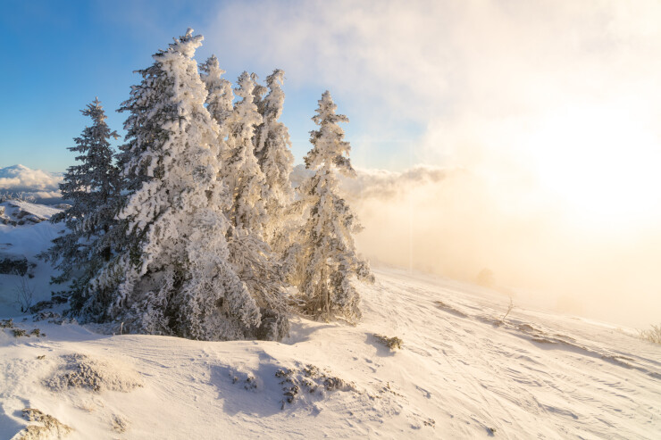 OTI_PIERRE-LONCHAMPT_PL241224-1513