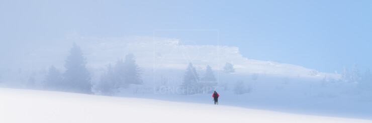 OTI_PIERRE-LONCHAMPT_PL241224-1484