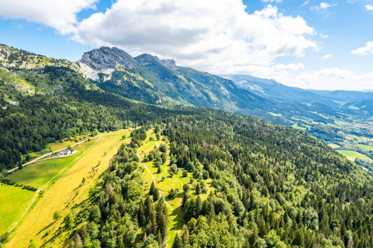 OTI_PIERRE-LONCHAMPT_PL230805-0670-D