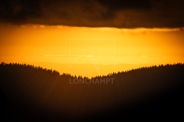 OTI_PIERRE-LONCHAMPT_PL250905-0165