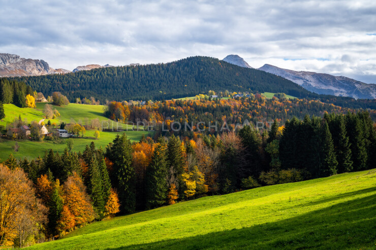 OTI_PIERRE-LONCHAMPT_PL221022-01119