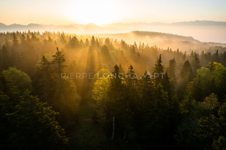 OTI_PIERRE-LONCHAMPT_PL230527-0542-D