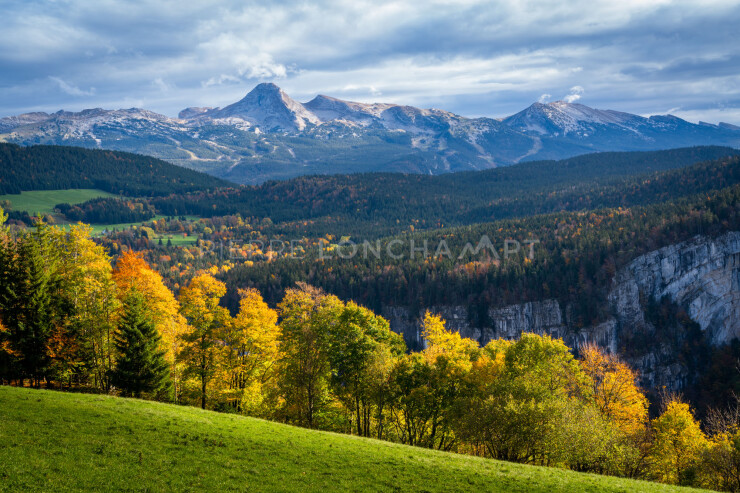 OTI_PIERRE-LONCHAMPT_PL221022-01122