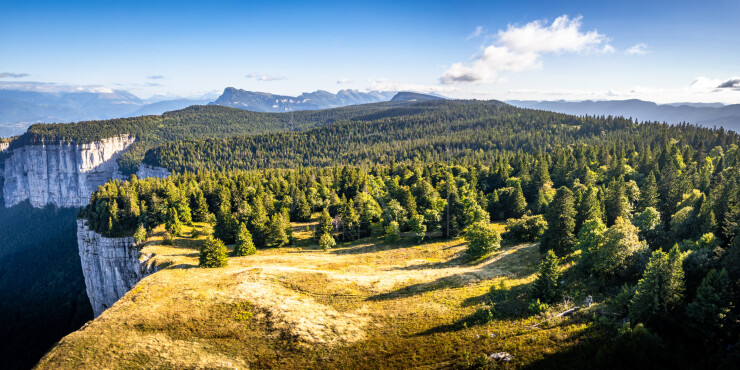 OTI_PIERRE-LONCHAMPT_PL250905-0233-PAN