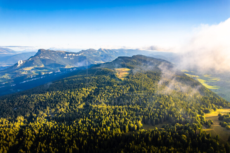 OTI_PIERRE-LONCHAMPT_PL250905-0297