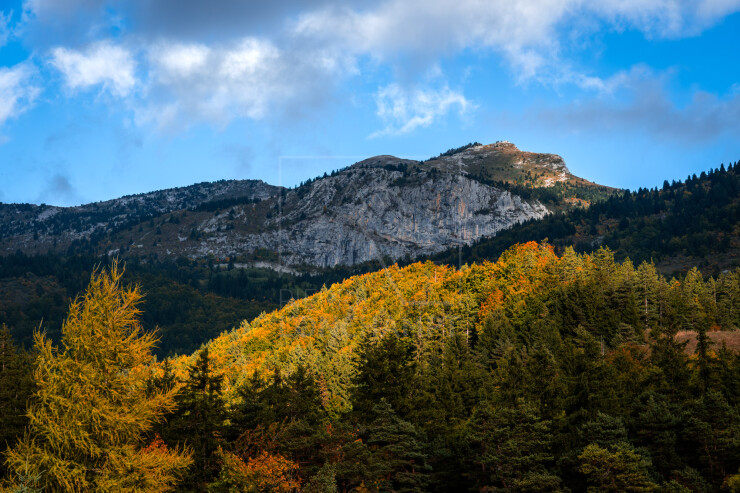 OTI_PIERRE-LONCHAMPT_PL251005-DSC9940