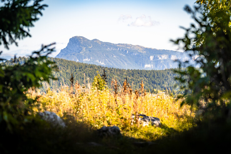 OTI_PIERRE-LONCHAMPT_PL250905-0116