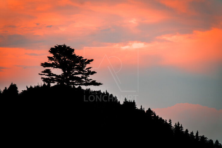 OTI_PIERRE-LONCHAMPT_PL240727-0452-B