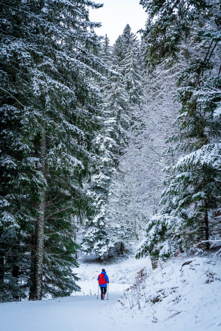 OTI_PIERRE-LONCHAMPT_PL230116-00243
