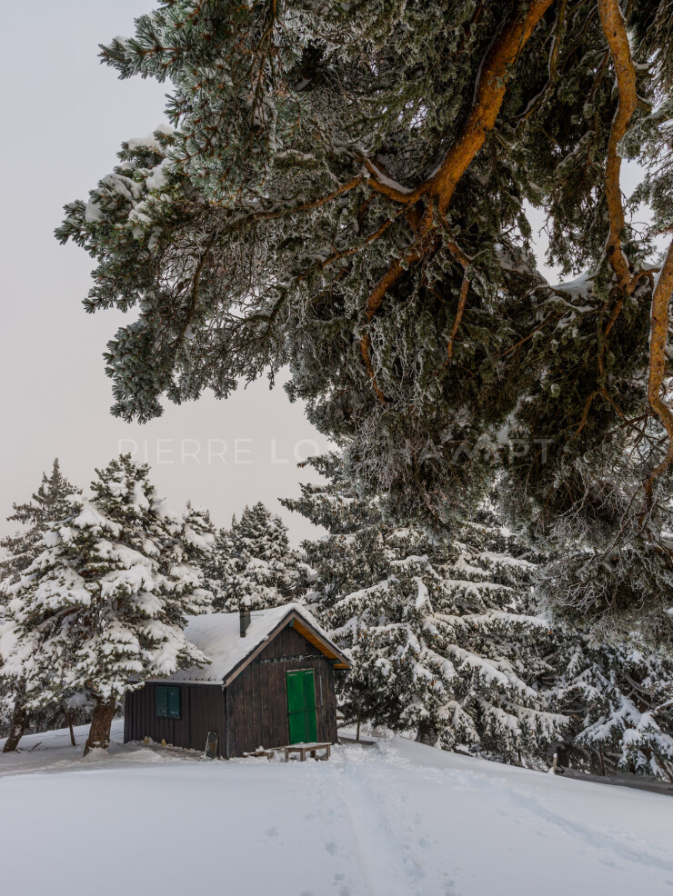 OTI_PIERRE-LONCHAMPT_PL171202-005
