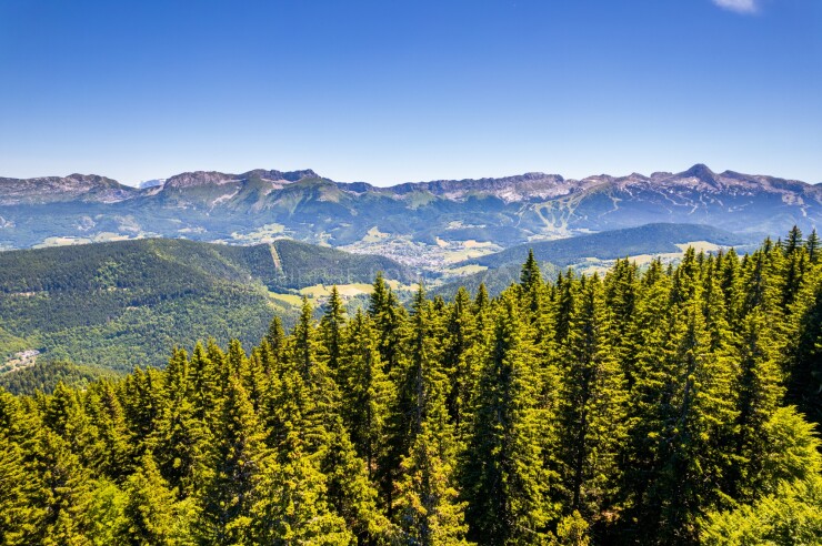 OTI_PIERRE-LONCHAMPT_PL220611-0230-D