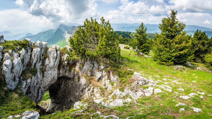 OTI_PIERRE-LONCHAMPT_PL230528-00199-PAN