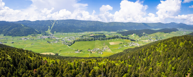 OTI_PIERRE-LONCHAMPT_PL230528-0628-PAN-D