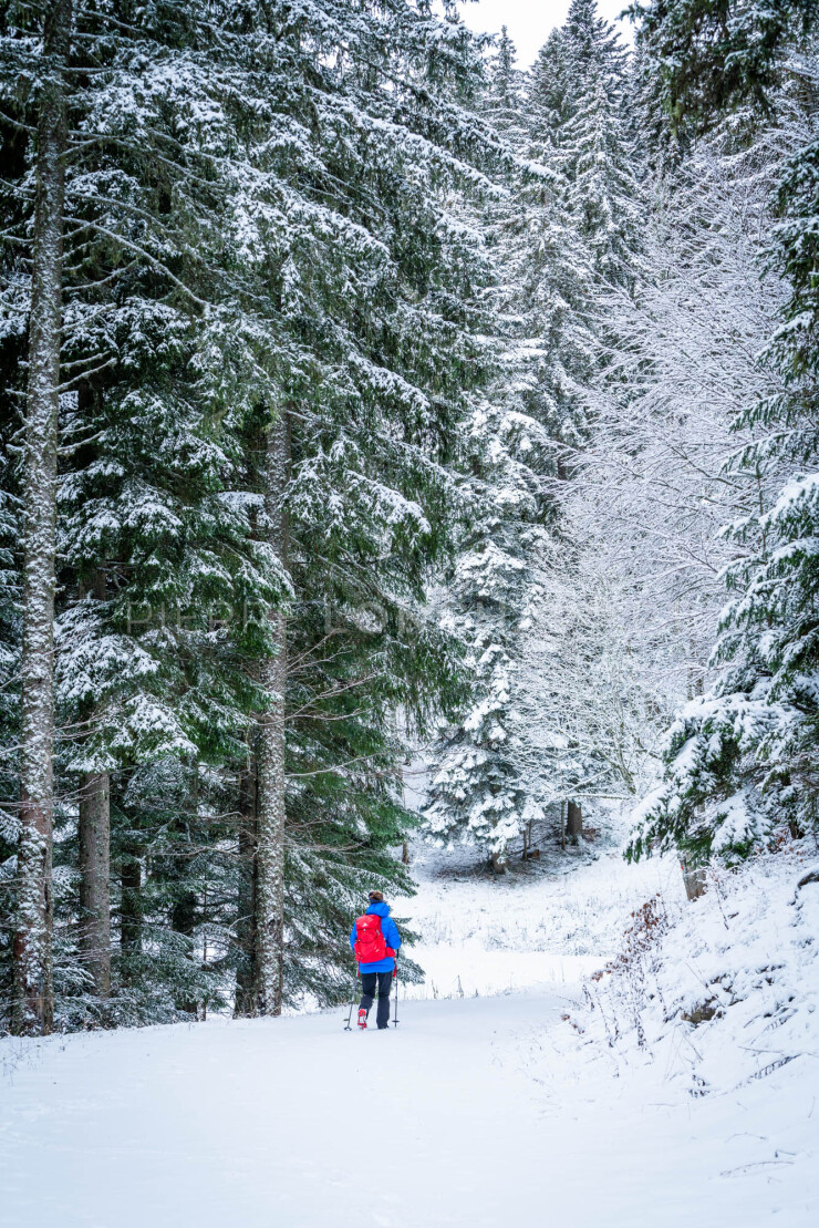 OTI_PIERRE-LONCHAMPT_PL230116-00241