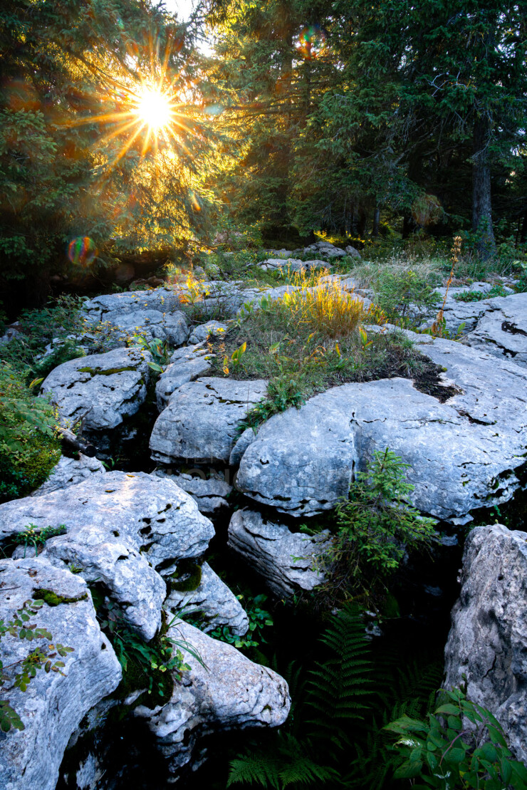 OTI_PIERRE-LONCHAMPT_PL250905-0158