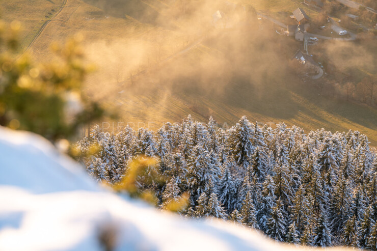 OTI_PIERRE-LONCHAMPT_PL231216-02171