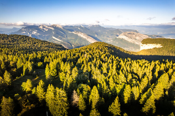 OTI_PIERRE-LONCHAMPT_PL250905-0278