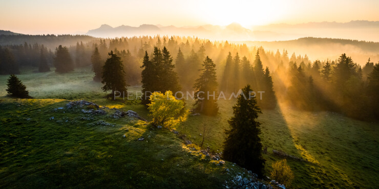 OTI_PIERRE-LONCHAMPT_PL230527-0538-D