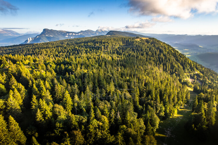 OTI_PIERRE-LONCHAMPT_PL250905-0277