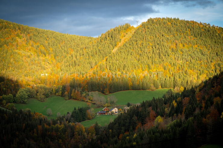 OTI_PIERRE-LONCHAMPT_PL221022-01152